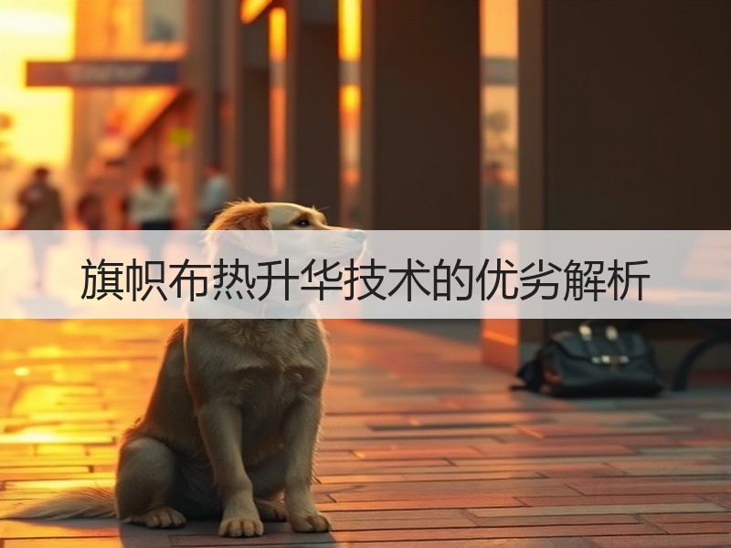 旗帜布热升华技术的优劣解析