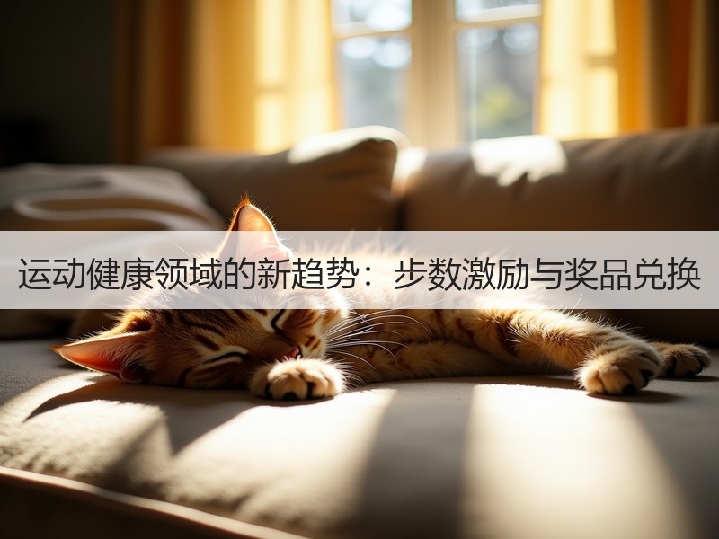 运动健康领域的新趋势：步数激励与奖品兑换