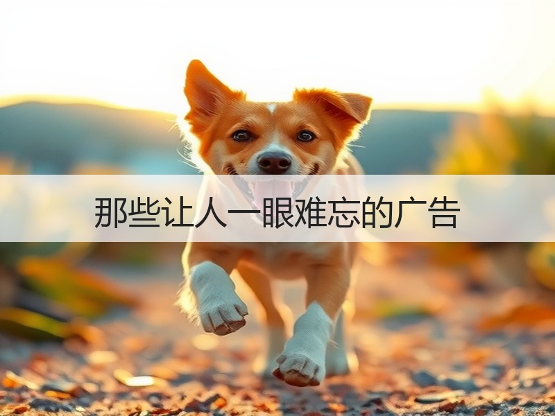 那些让人一眼难忘的广告