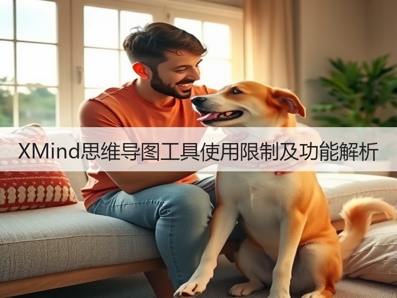 XMind思维导图工具使用限制及功能解析