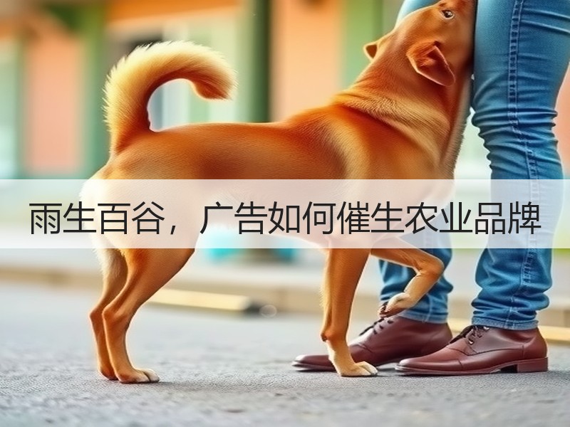 雨生百谷，广告如何催生农业品牌