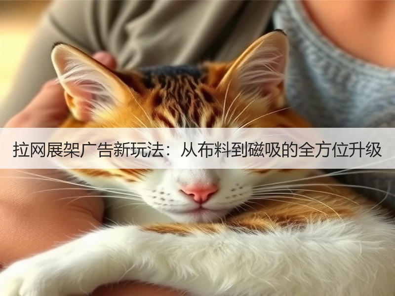 拉网展架广告新玩法：从布料到磁吸的全方位升级