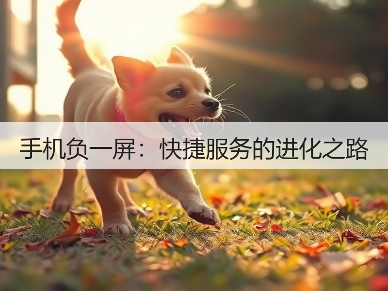 手机负一屏：快捷服务的进化之路